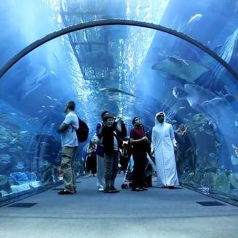 Ne propustite: Najčudniji šoping na svetu u Dubaiju