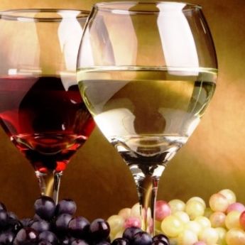 ŽIVELI: Rakije i vina sa Balkana stigli u Emirate!