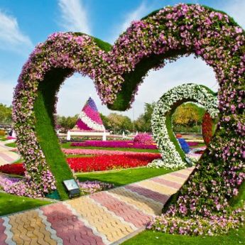 Rajski vrt u Al Ainu (VIDEO)