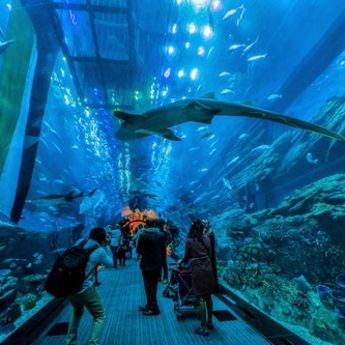 Zavirite u Dubai akvarijum