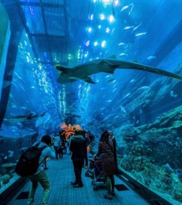 Zavirite u Dubai akvarijum