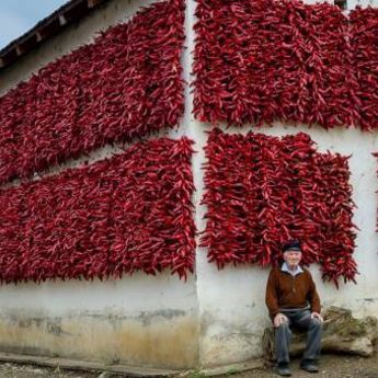 FOTO-PRIČA: Fasade od paprika zaštitni znak Donje Lokošnice