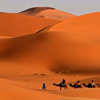Priča koja će vas raznežiti: Čudo u Arabiji (VIDEO)