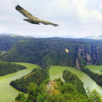 Njegovo veličanstvo Dunav