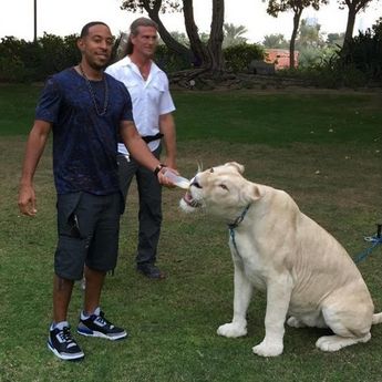 Ma kakav Holivud! Emirati su nova “planeta slavnih”! (FOTO)