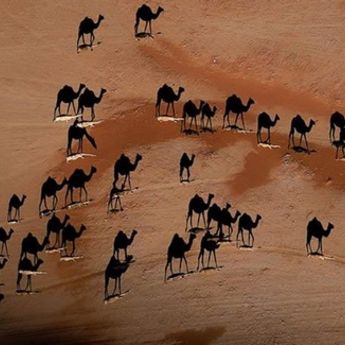 Najveća misterija decenije: Dobro pogledajte ovu fotografiju