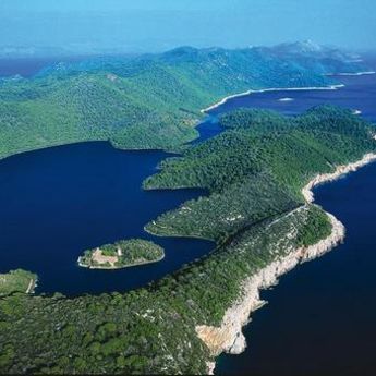 Može biti samo jedan: Posao iz snova za doktora u Hrvatskoj