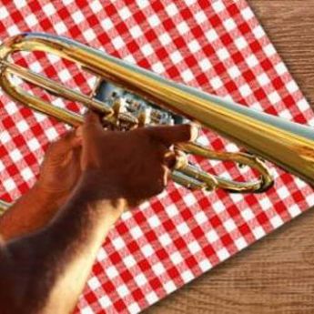 Druženje za pamćenje: Balkanski branč u pustinji