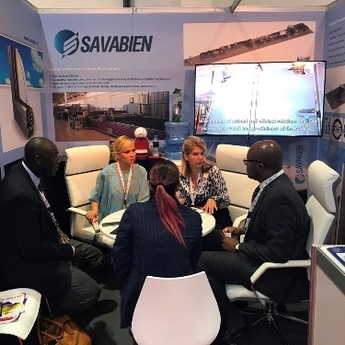 Prozori iz Srbije stižu u Aziju i Afriku (VIDEO)