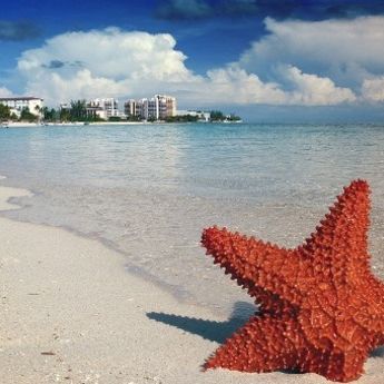 Nišlijka na Bahamima: Kad želje postanu stvarnost (FOTO)