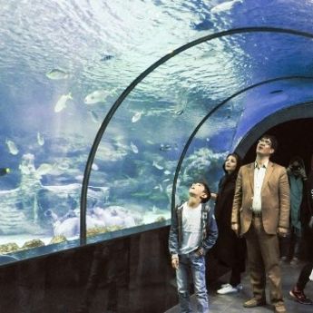 Iran: Zavirite u najveći akvarijum na Bliskom Istoku (VIDEO)
