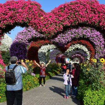 DUBAI MIRACLE GARDEN: 100 MILIONA cvetova na jednom mestu