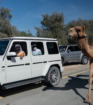 Vladar Dubaija iznenadio učesnike karavana u pustinji