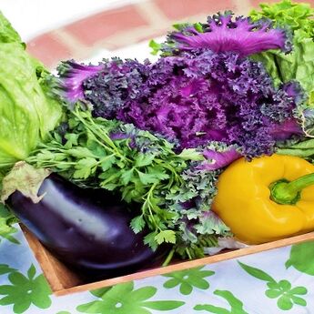 EXPO Dubai 2020: Prvi regionalni festival veganske hrane