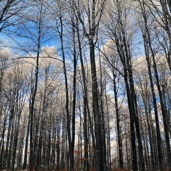 FOTO-PRIČA: Mala Švajcarska u srcu Srbije