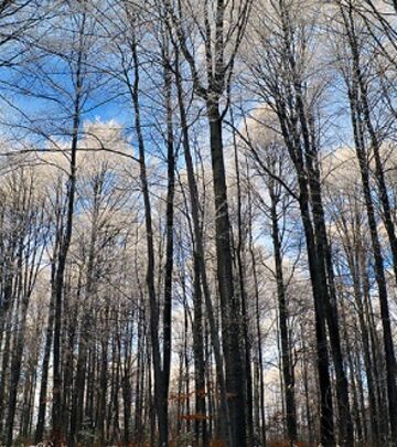 FOTO-PRIČA: Mala Švajcarska u srcu Srbije