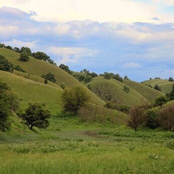 FOTO-PRIČA: Zagajička brda – oaza u Deliblatskoj peščari