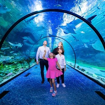 Zavirite u Nacionalni akvarijum u Abu Dabiju