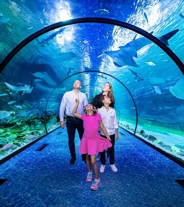 Zavirite u Nacionalni akvarijum u Abu Dabiju