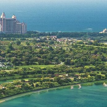 FOTO-PRIČA: Ovako bi izgledao Dubai prekriven zelenilom
