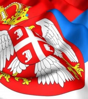 IZBORI U SRBIJI: Predavanje zahteva za glasanje do 25. 11.