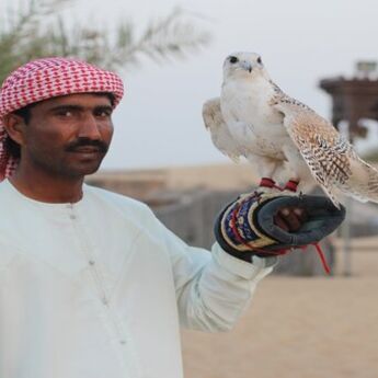 ​Abu Dabi: Prvo prvenstvo u takmičenju sokolova