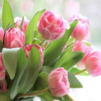 SREĆAN OSMI MART: Budite važne sebi kao što ste važne svetu