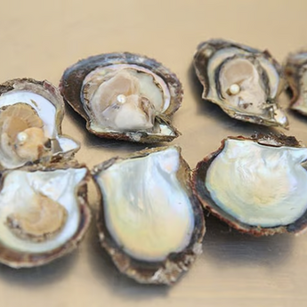 ​Abu Dabi pokrenuo prvi projekat slatkovodnih ostriga u regionu: Biseri budućnosti