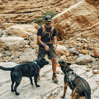 ​Ekspedicije prilagođene ljubimcima: Novi trend u UAE