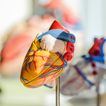 ​Titanijumsko srce održava pacijente u životu preko 100 dana