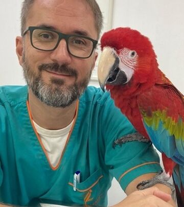 ​Od Jagodine do pustinje: Na&scaron; veterinar leči ljubimce u Dubaiju